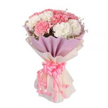 12 Pink and White Carnations in a bouquet