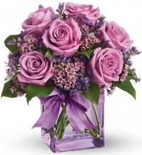 Luscious Stems